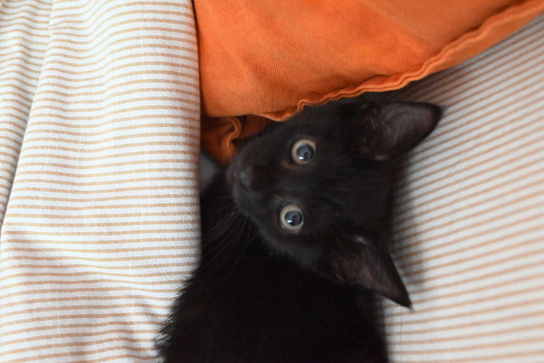 photo of Jaquemus