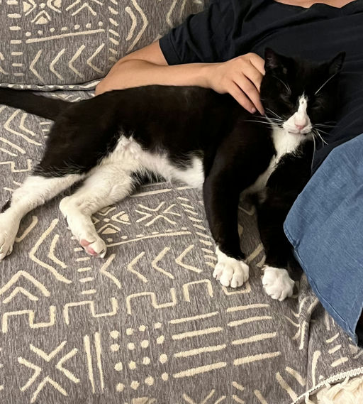 photo of Leo