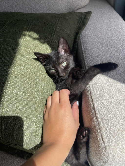 photo of Prada