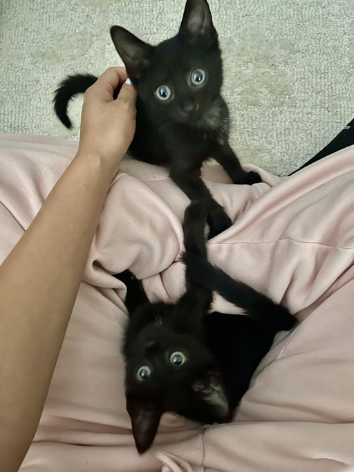 photo of Prada