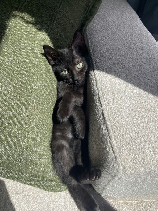 photo of Prada