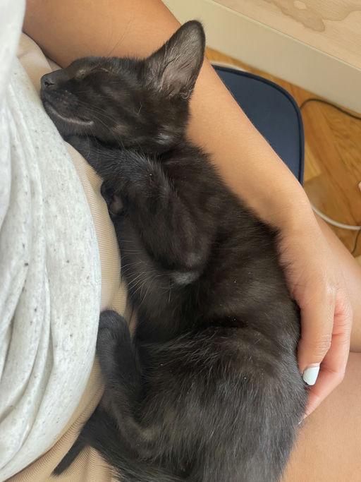 photo of Prada