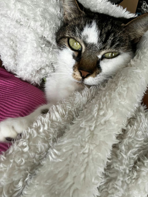photo of Barbie