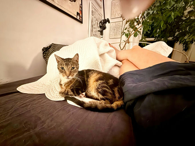 photo of Rue