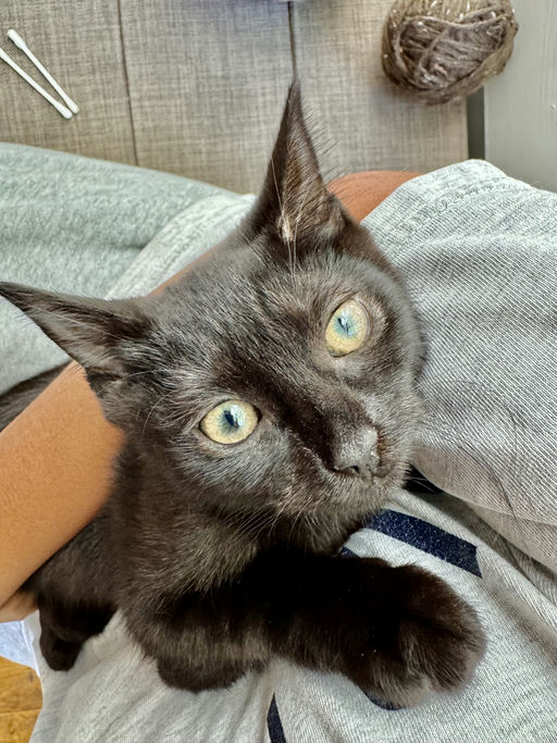 photo of Jacquemus