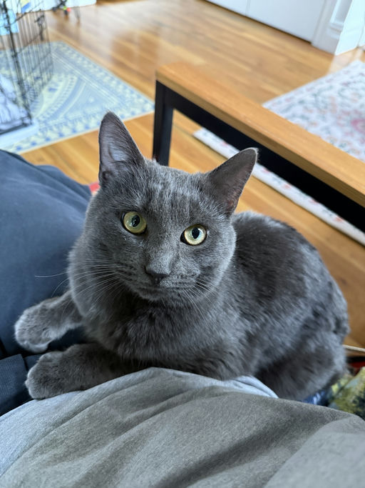 photo of Uncle Baby Billy