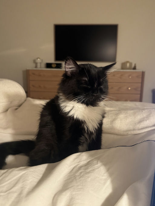 photo of Lily