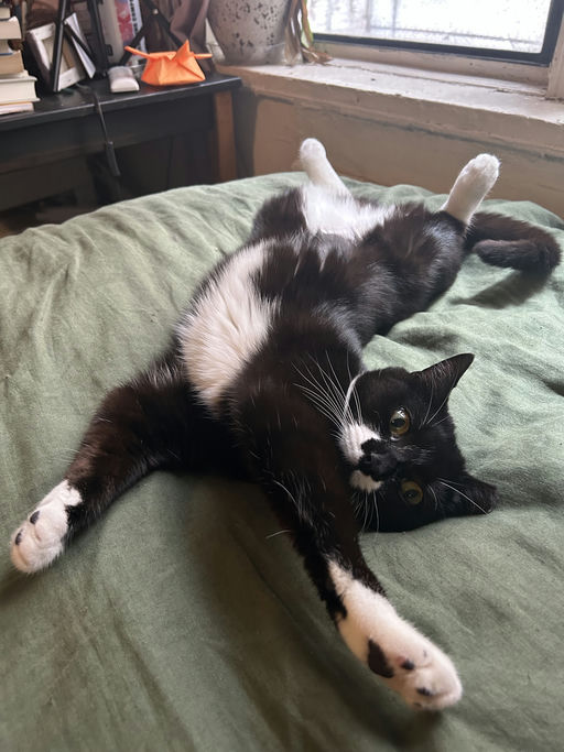 photo of Patty
