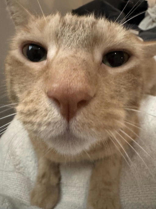 photo of George