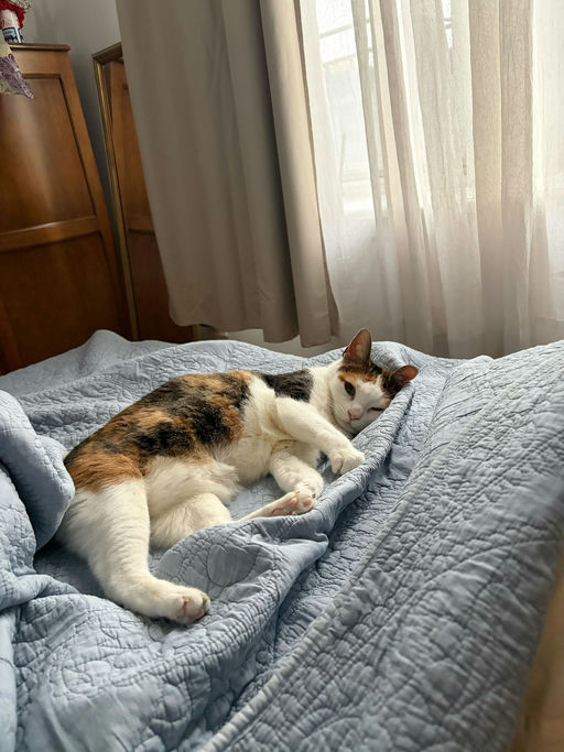 photo of Precious