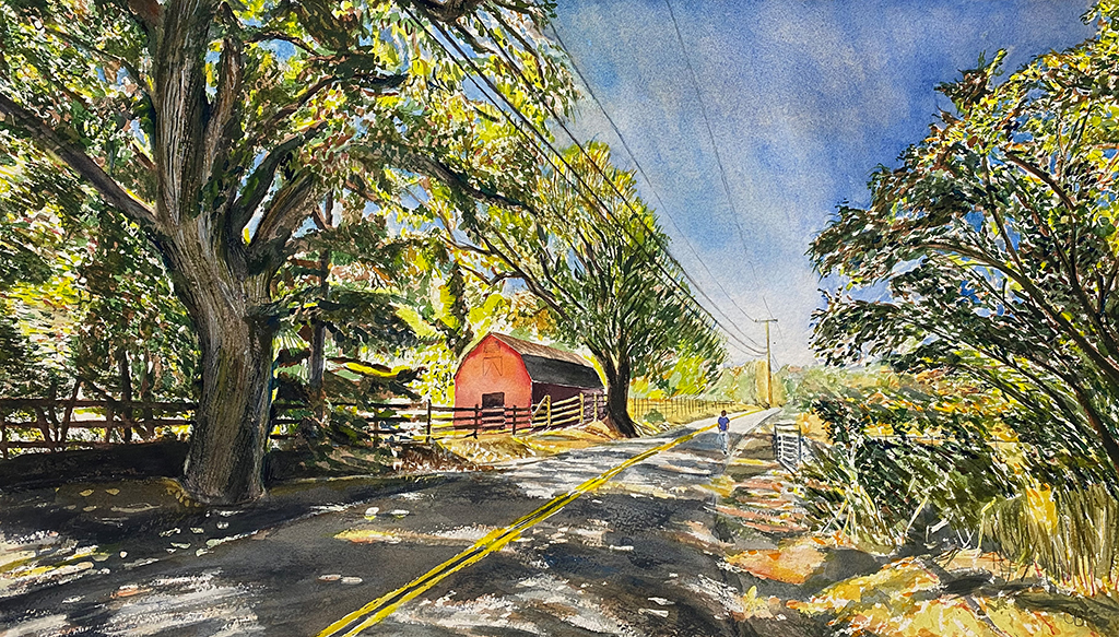 Sonoma barn with shadows