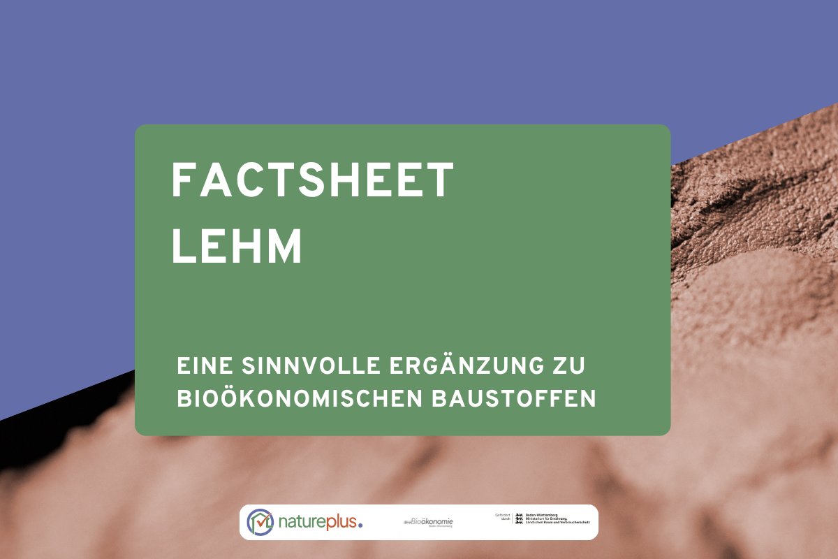 Vorschaubild aus einer Infografik