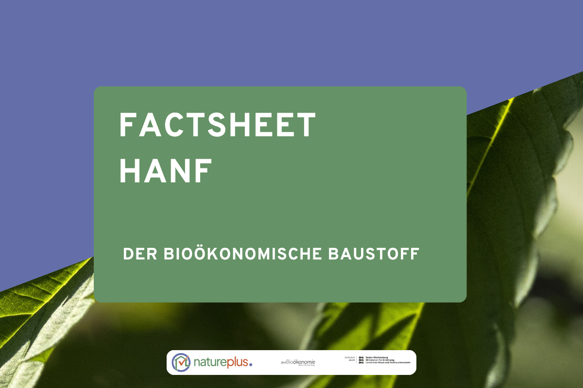 Vorschaubild aus einer Infografik