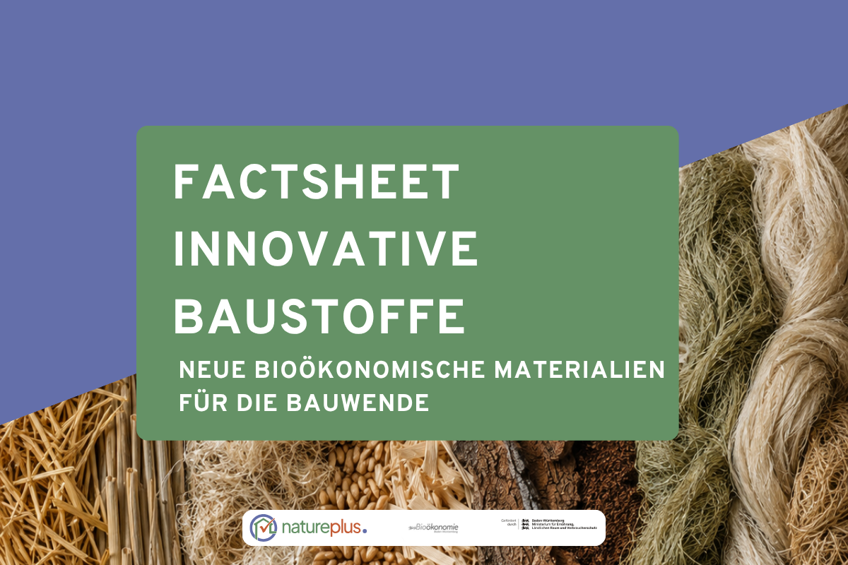 Vorschaubild aus einer Infografik