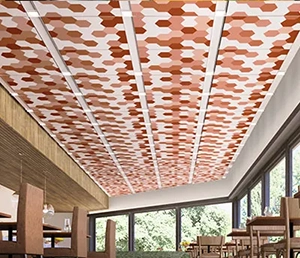 Printed Ceiling Tiles