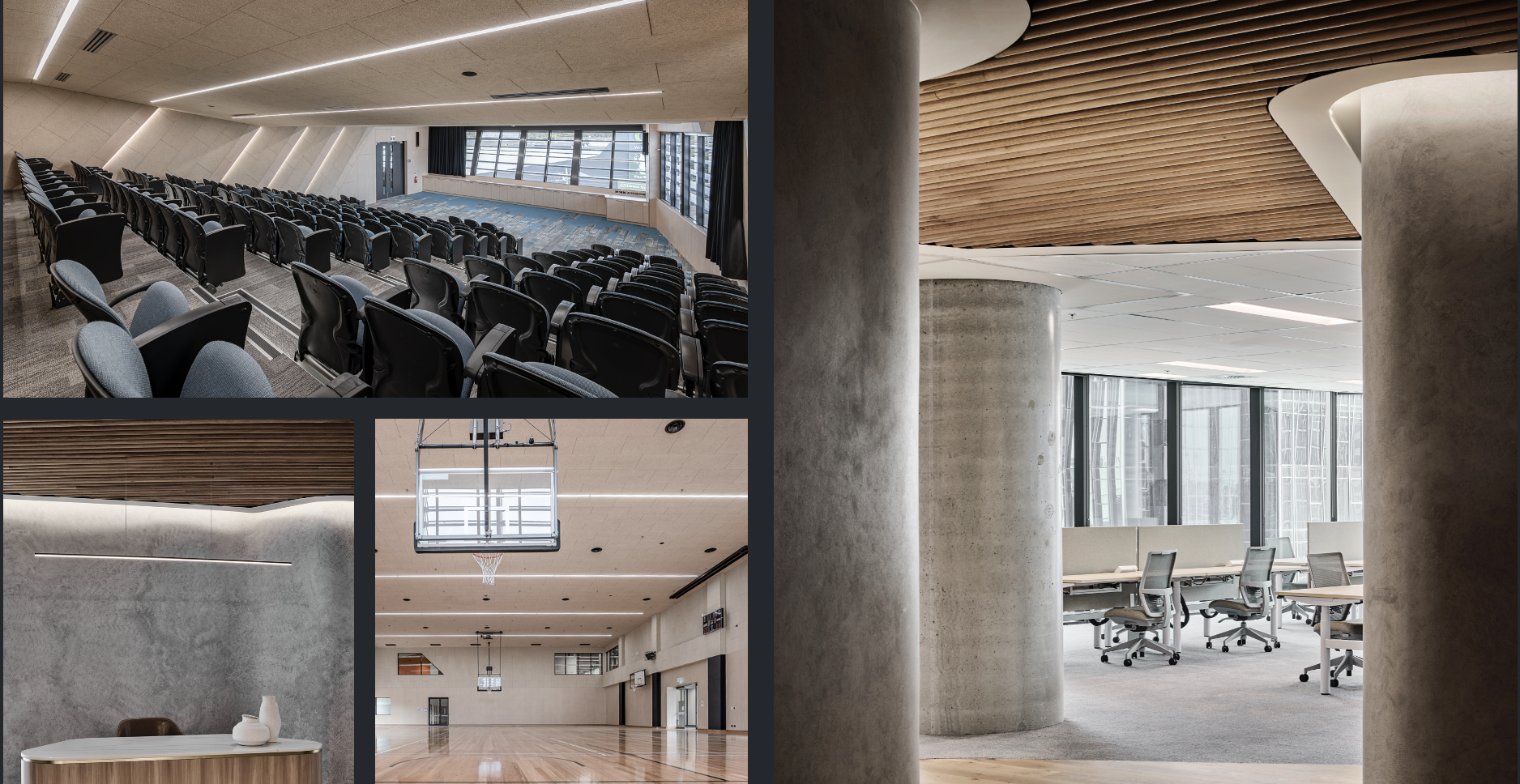 A large auditorium with a biophilic design ceiling