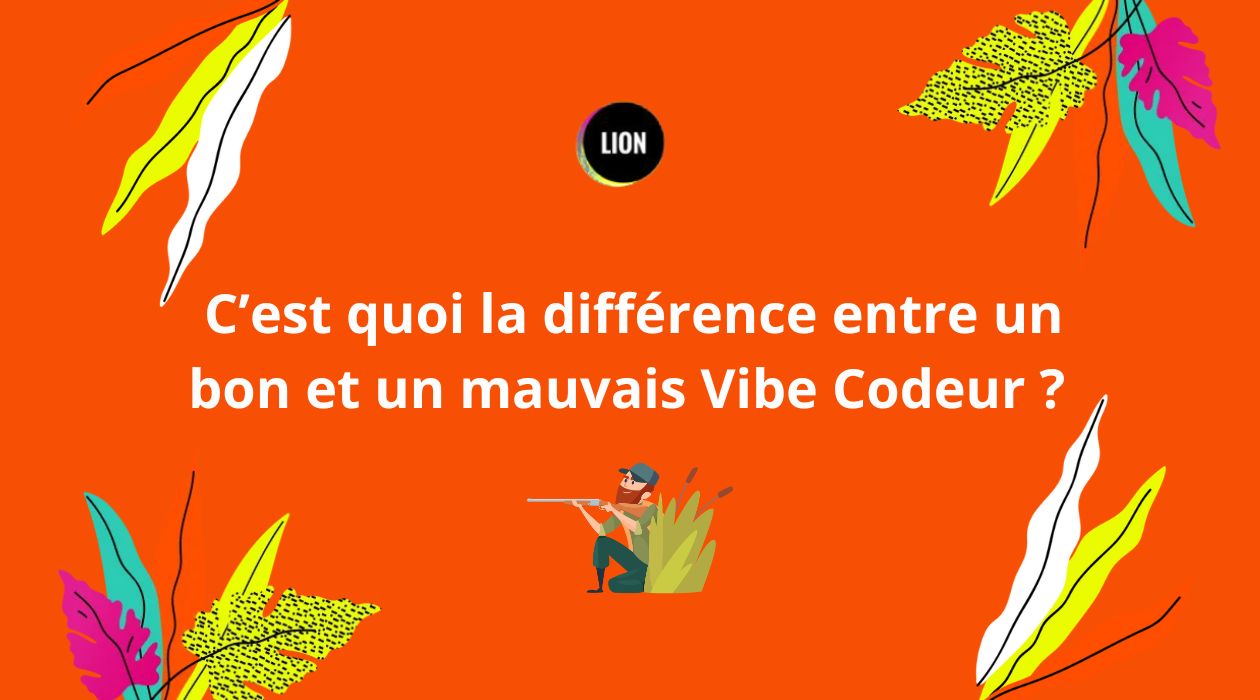 Bon ou mauvais Vibe Codeur