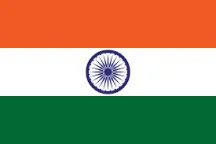 United States Flag Icon