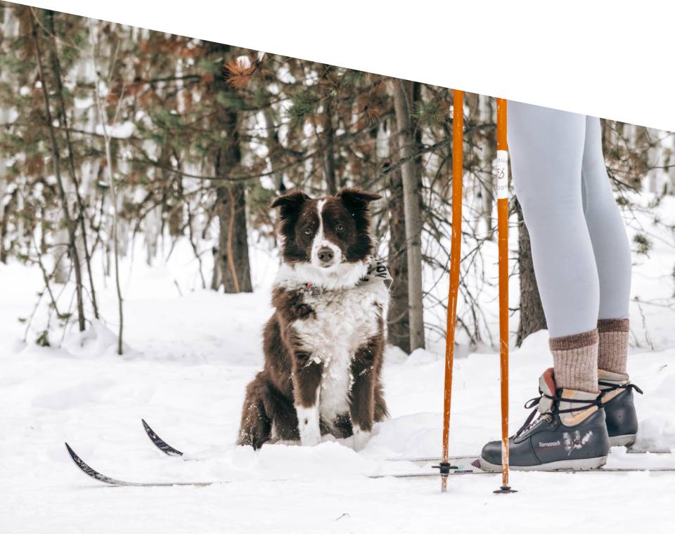 World-renowned Nordic ski trails steps away from your Base Camp 49 rental cabin | Mazama, WA