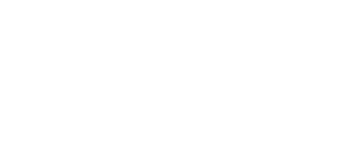 dk Software
