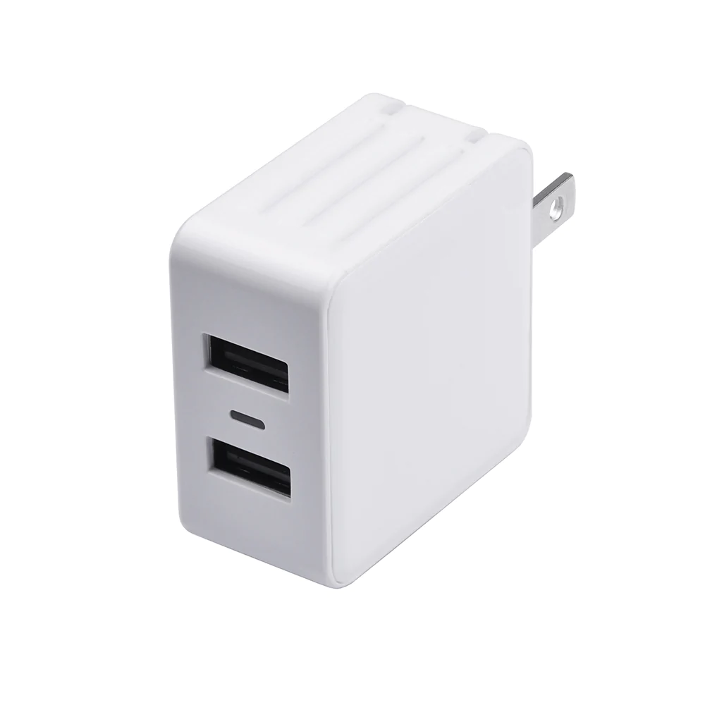 Dual USB Wall Charger, White