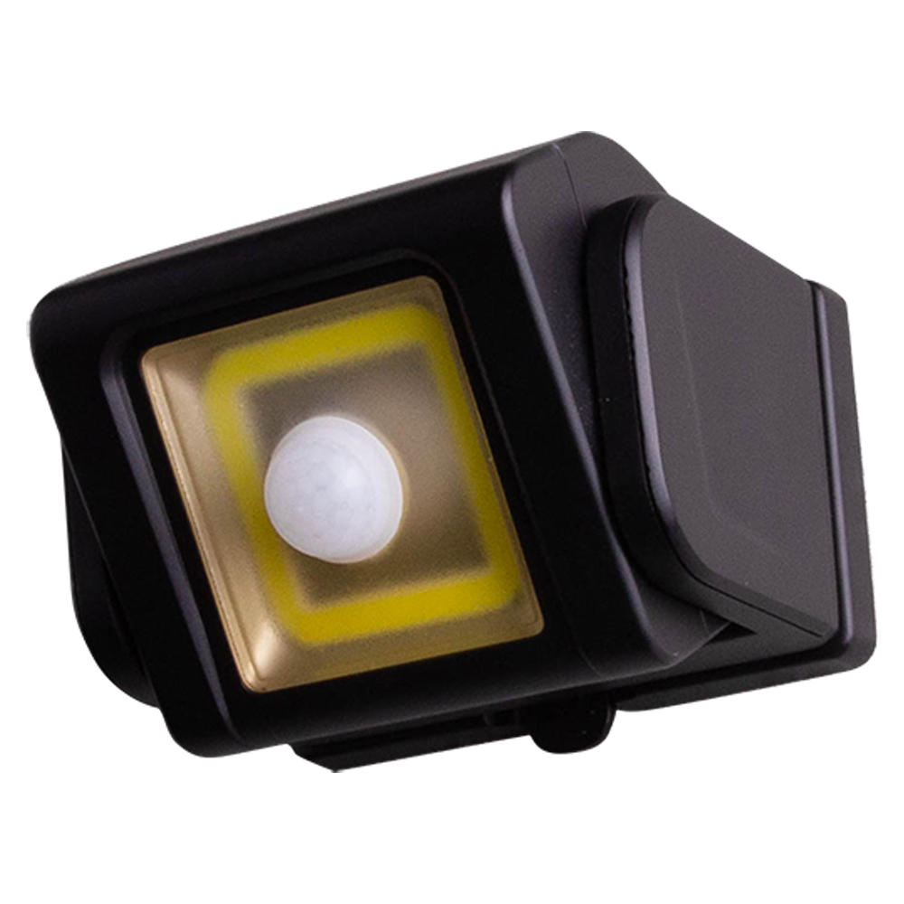 Compact Motion Activated Security Light