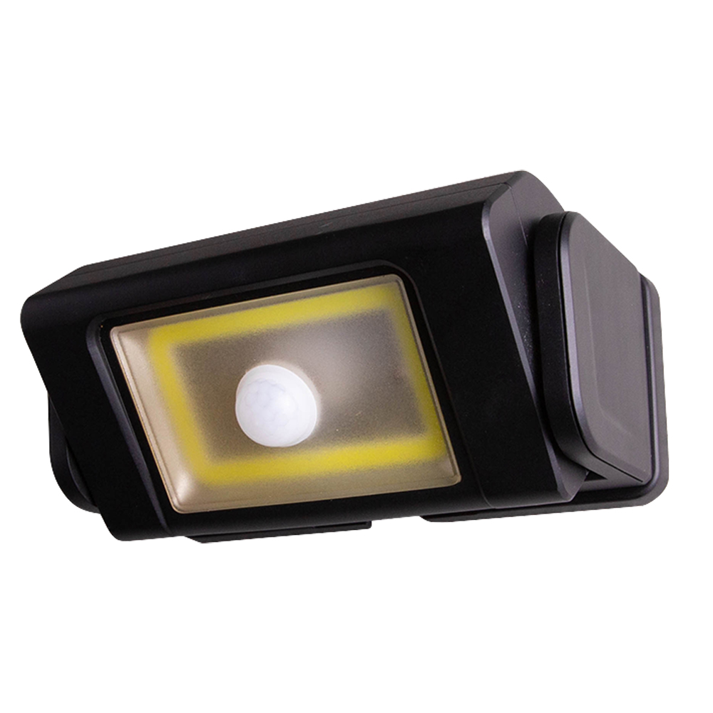 Motion Activated Security Light