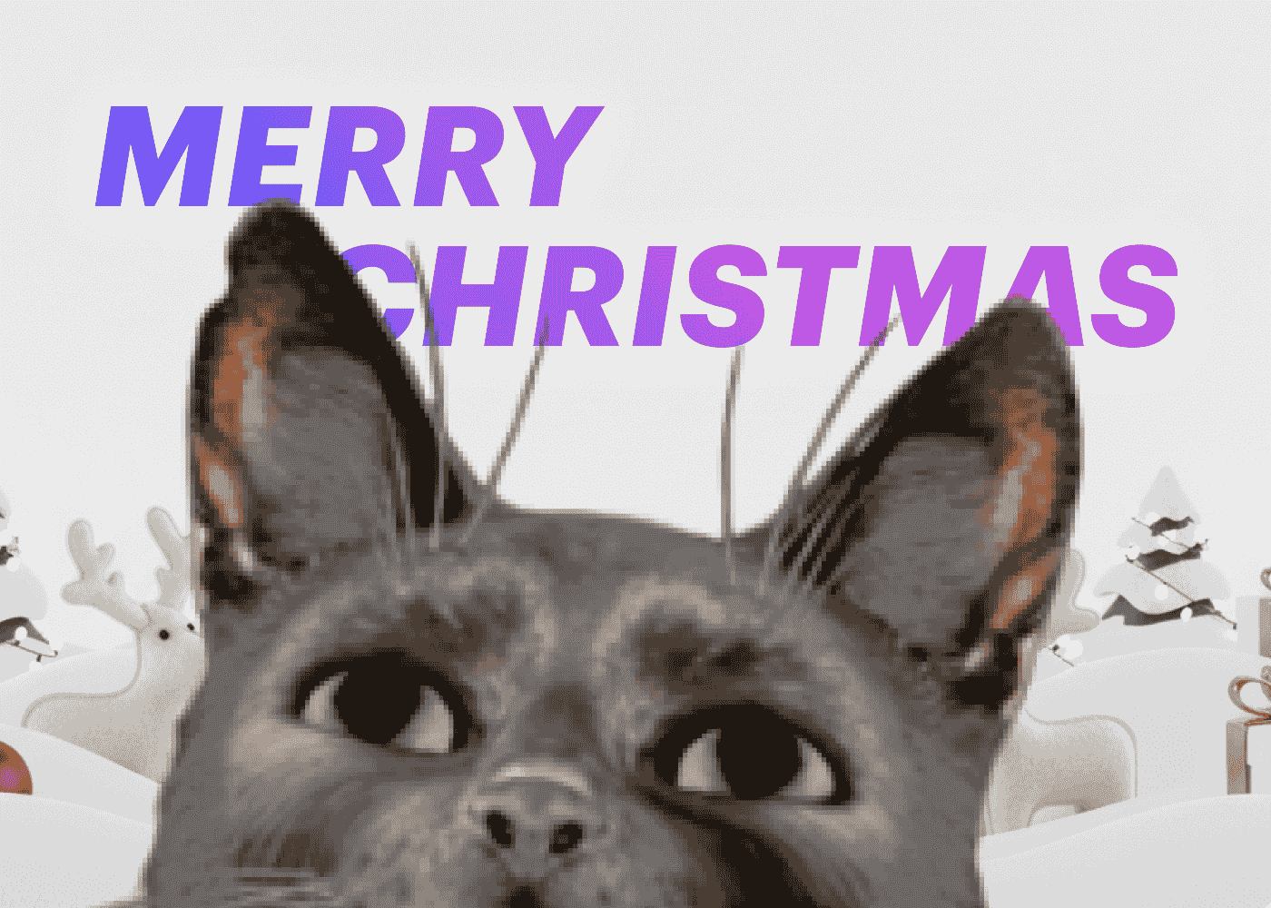 Meowy Christmas from JetStyle: Adding Joy to XR Experiences