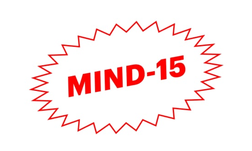 Alexey Kulakov at MIND-15
