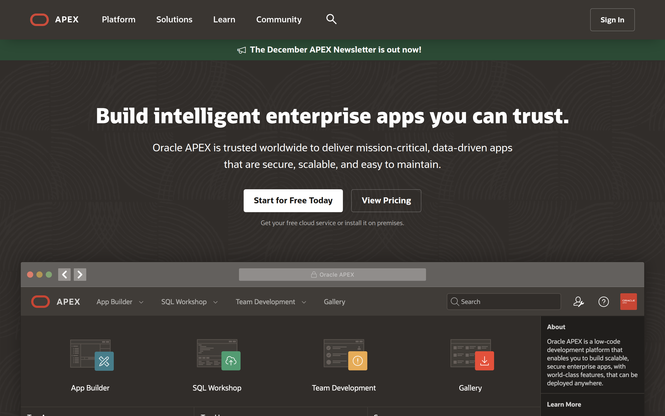 Oracle APEX Screenshot