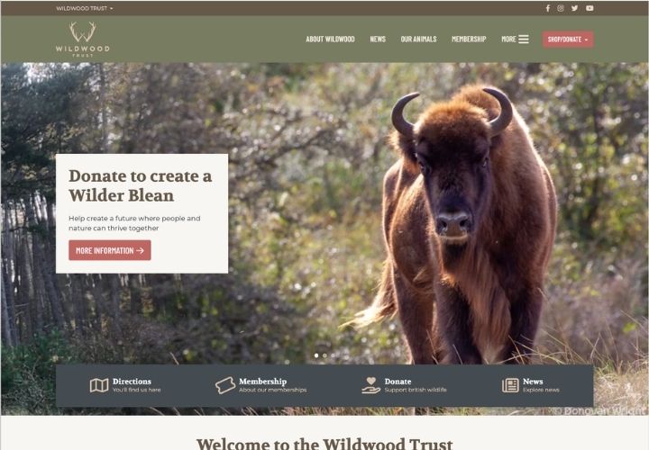 Wildwood Trust launch fantastic new online experience with LOOP