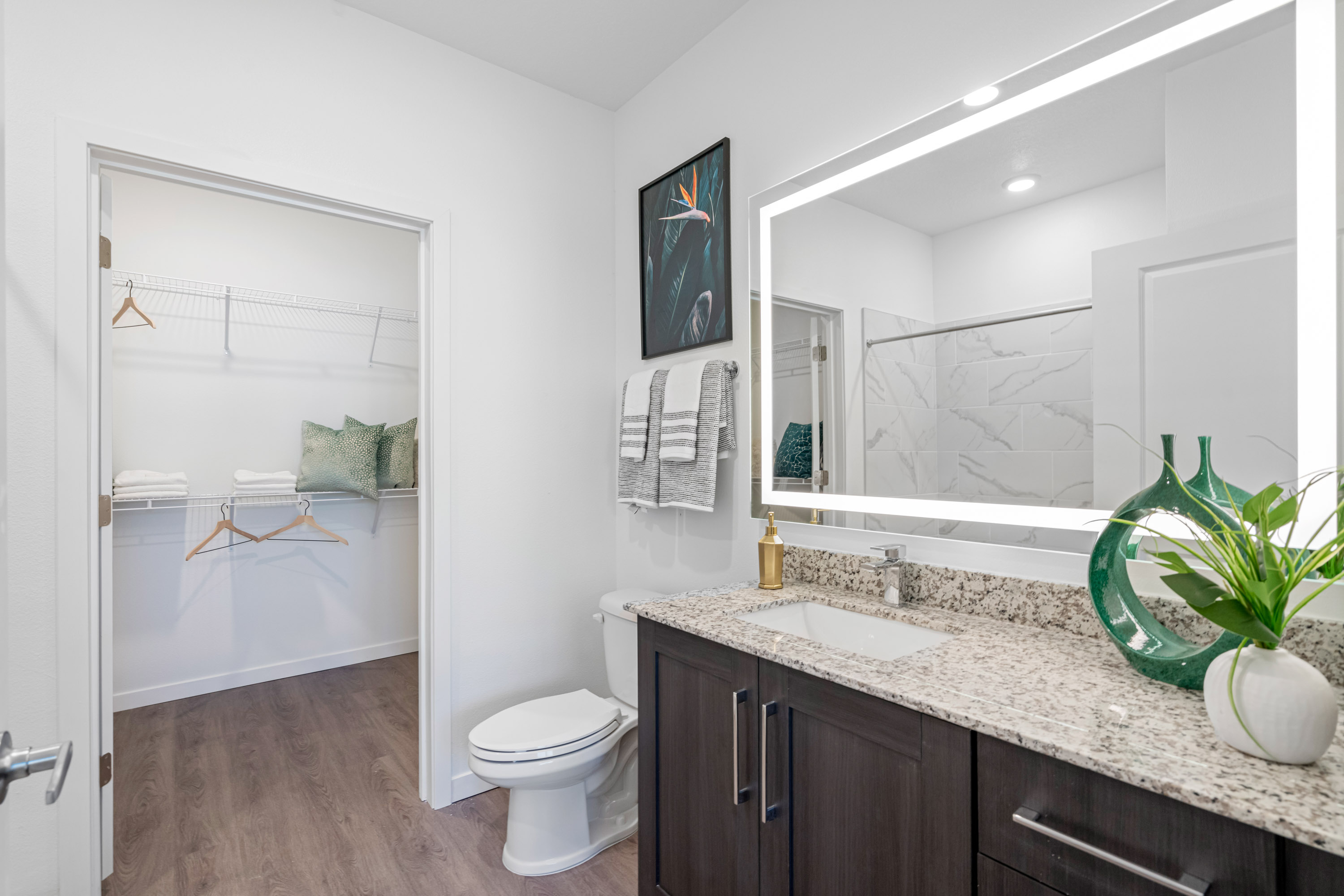 Apex Posner Park apartment interior