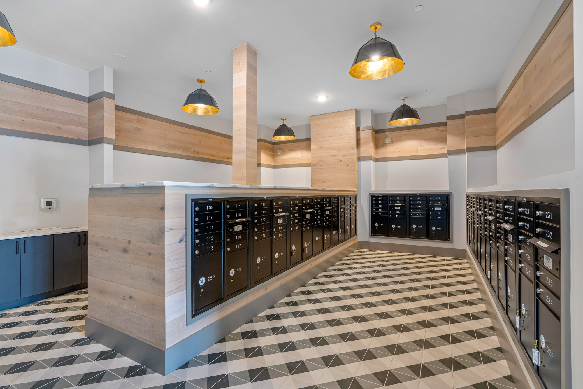 Apex Posner Park amenities
