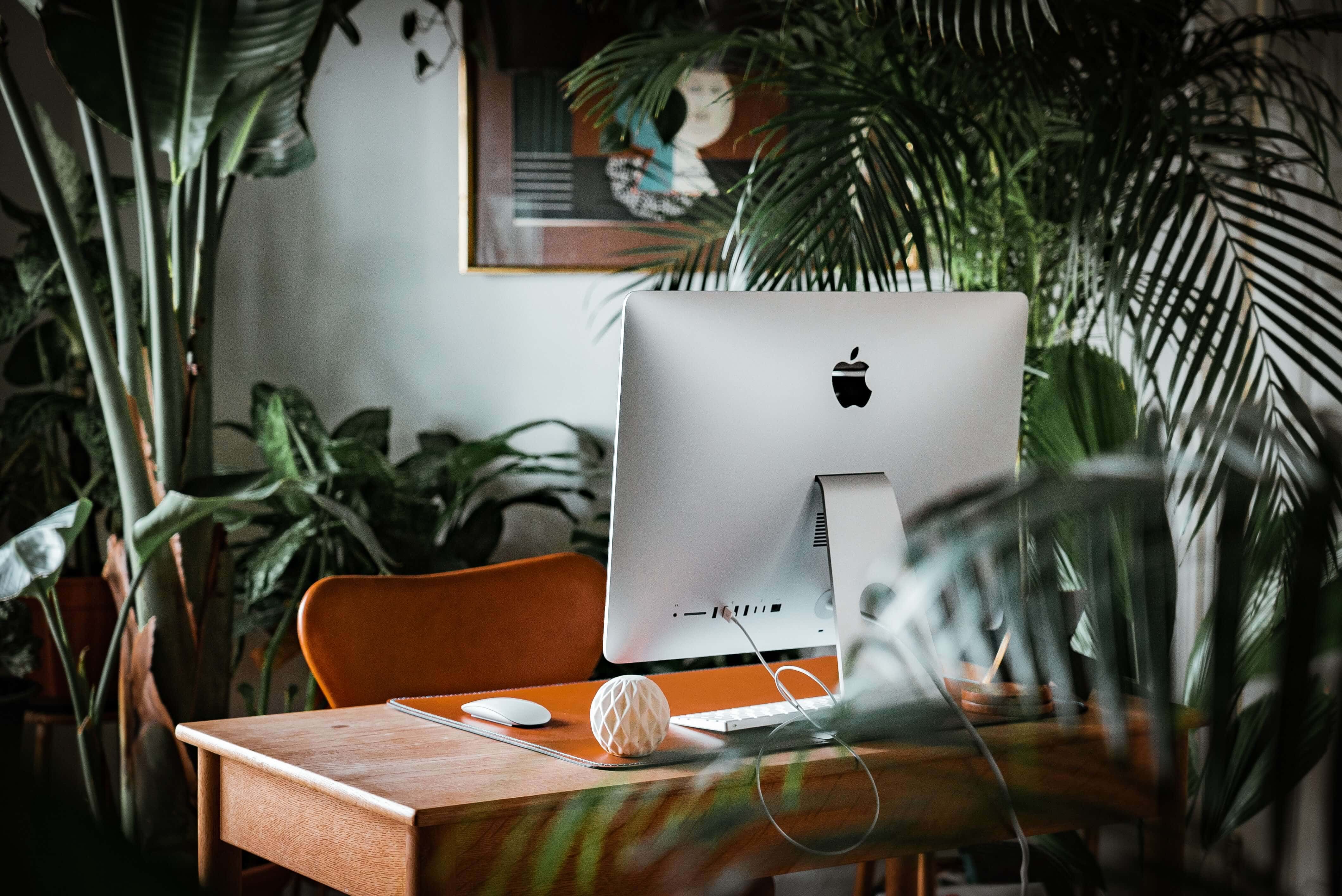 Desk with plants