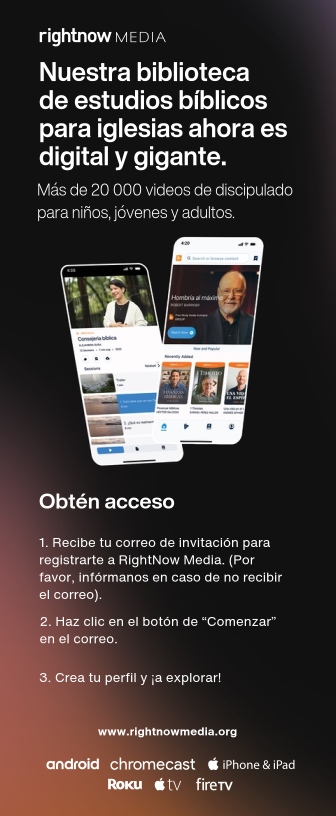 Inserto de Respaldo de Asiento