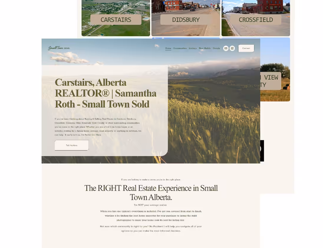 A link to the client's website, with the picture showing a snapshot of their site.