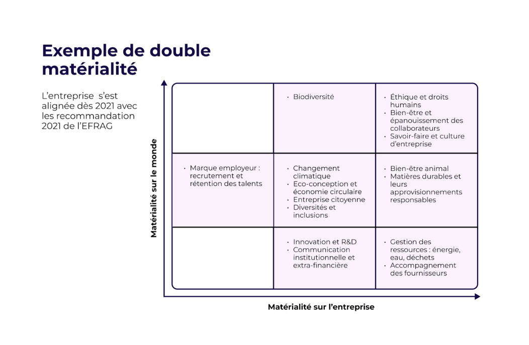 Exemple de matrice de double matérialité