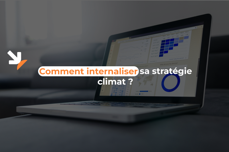 Illustration Blogpost