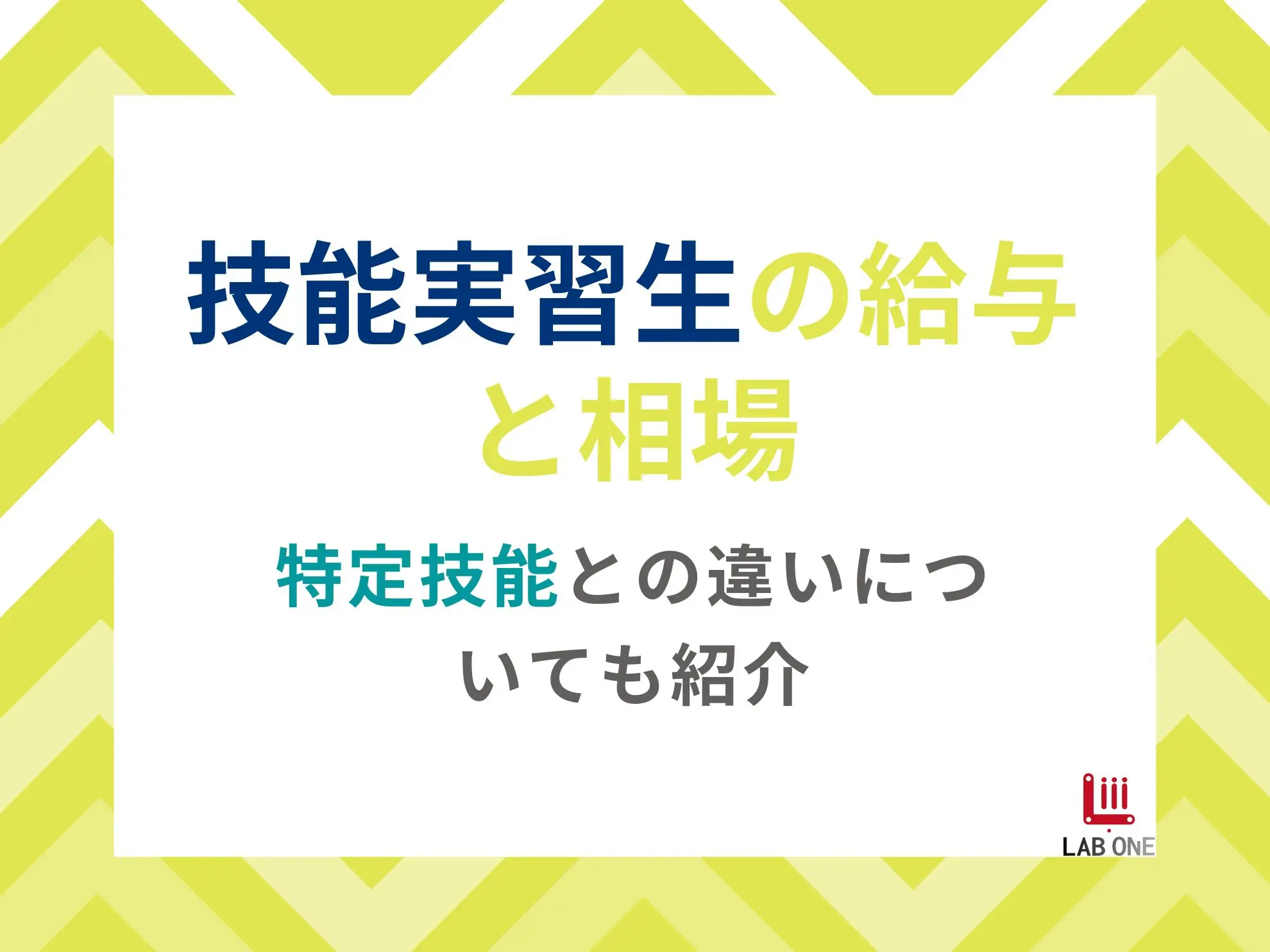 技能実習生の給与と相場|特定技能との違いについても紹介
