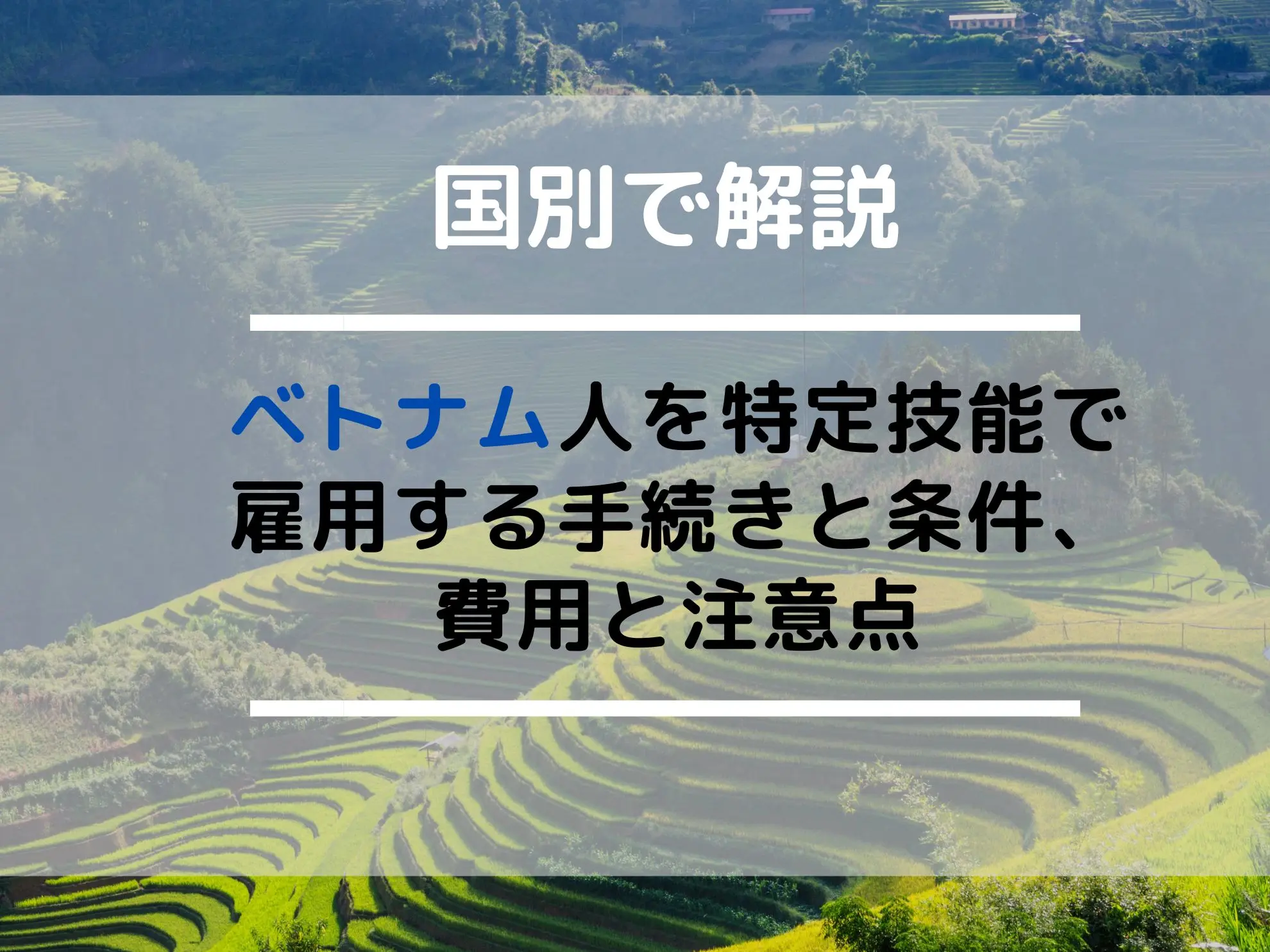 ベトナム人を特定技能で雇用する手続きと条件、費用と注意点