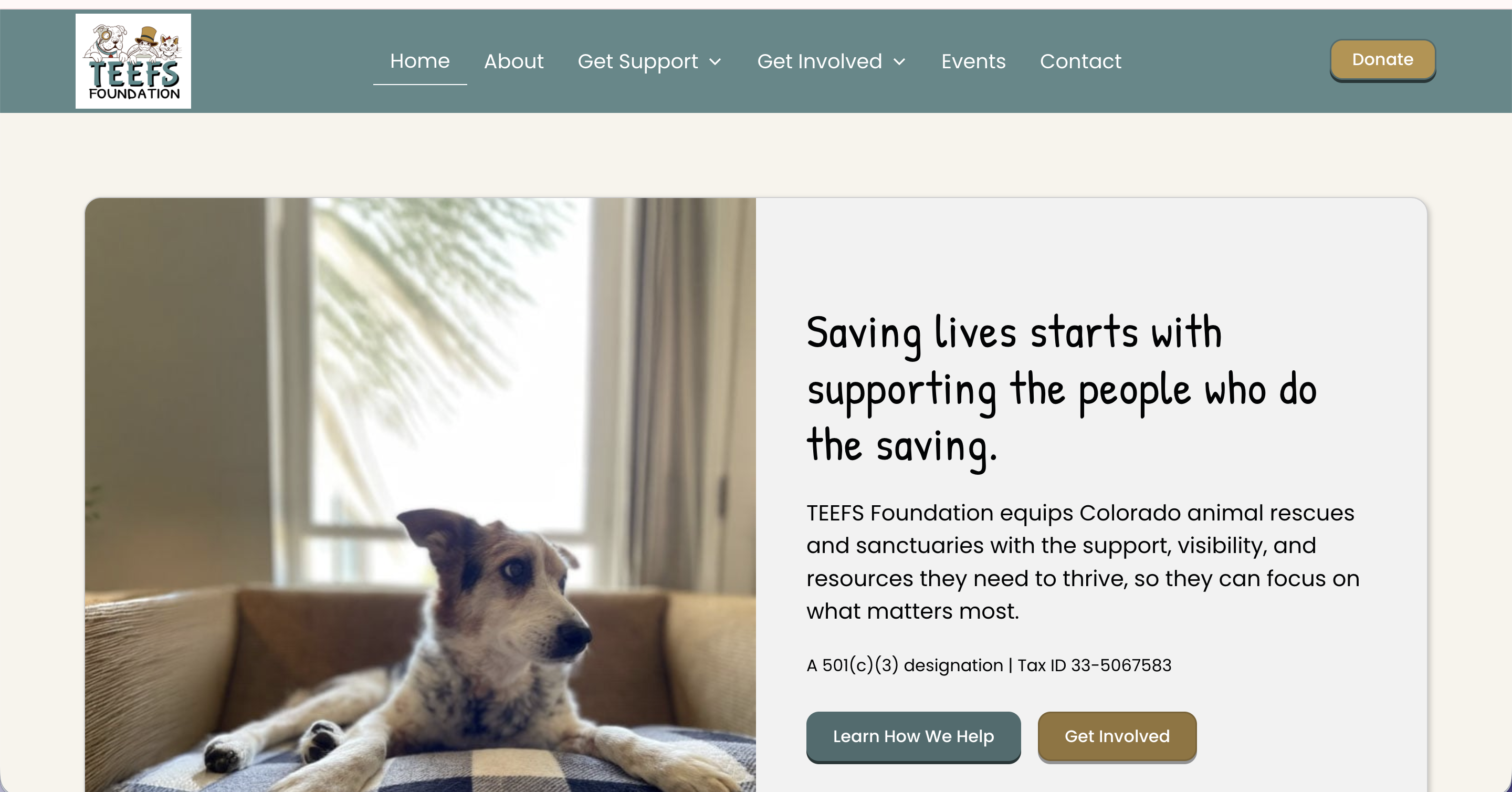 TEEFS Foundation