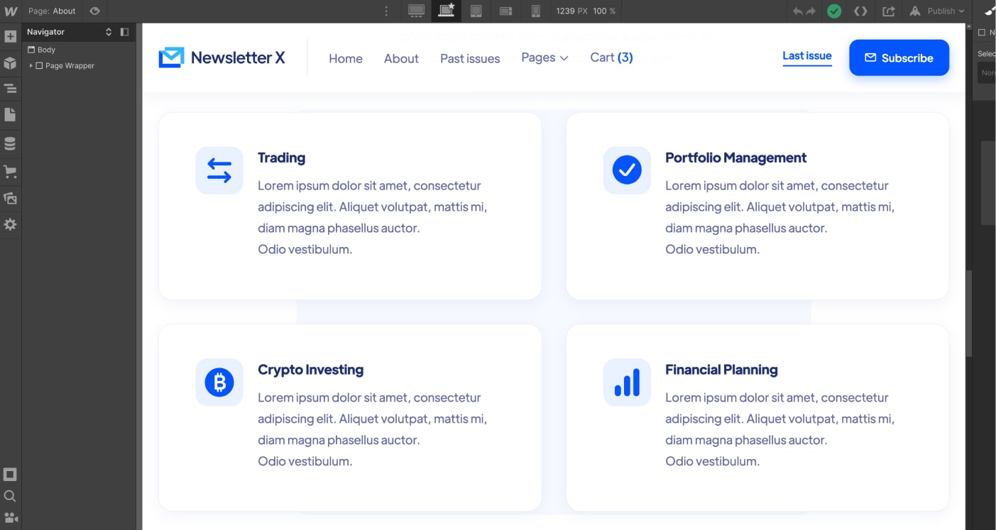 Icons And Graphics - Newsletter X Webflow Template