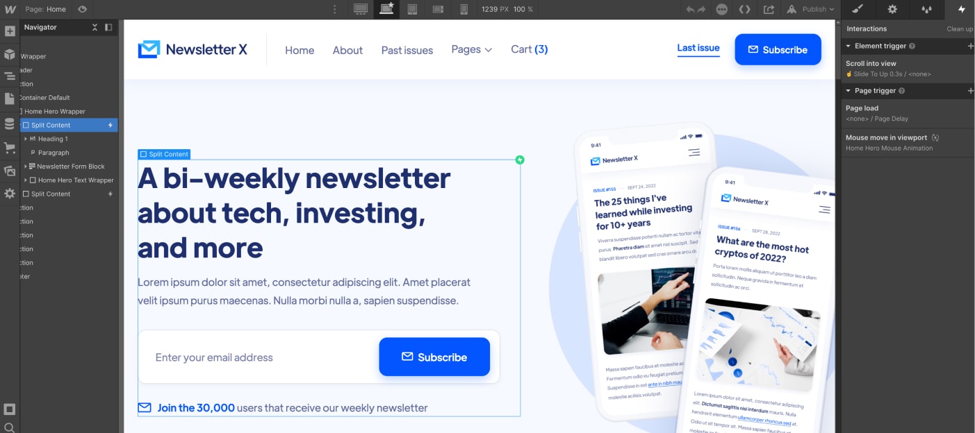 Animations - Newsletter X Webflow Template