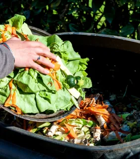 9-practical-ways-to-tackle-climate-change-starting-in-your-kitchen