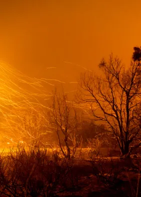 stopping-climate-change-could-cost-less-than-fighting-covid-19