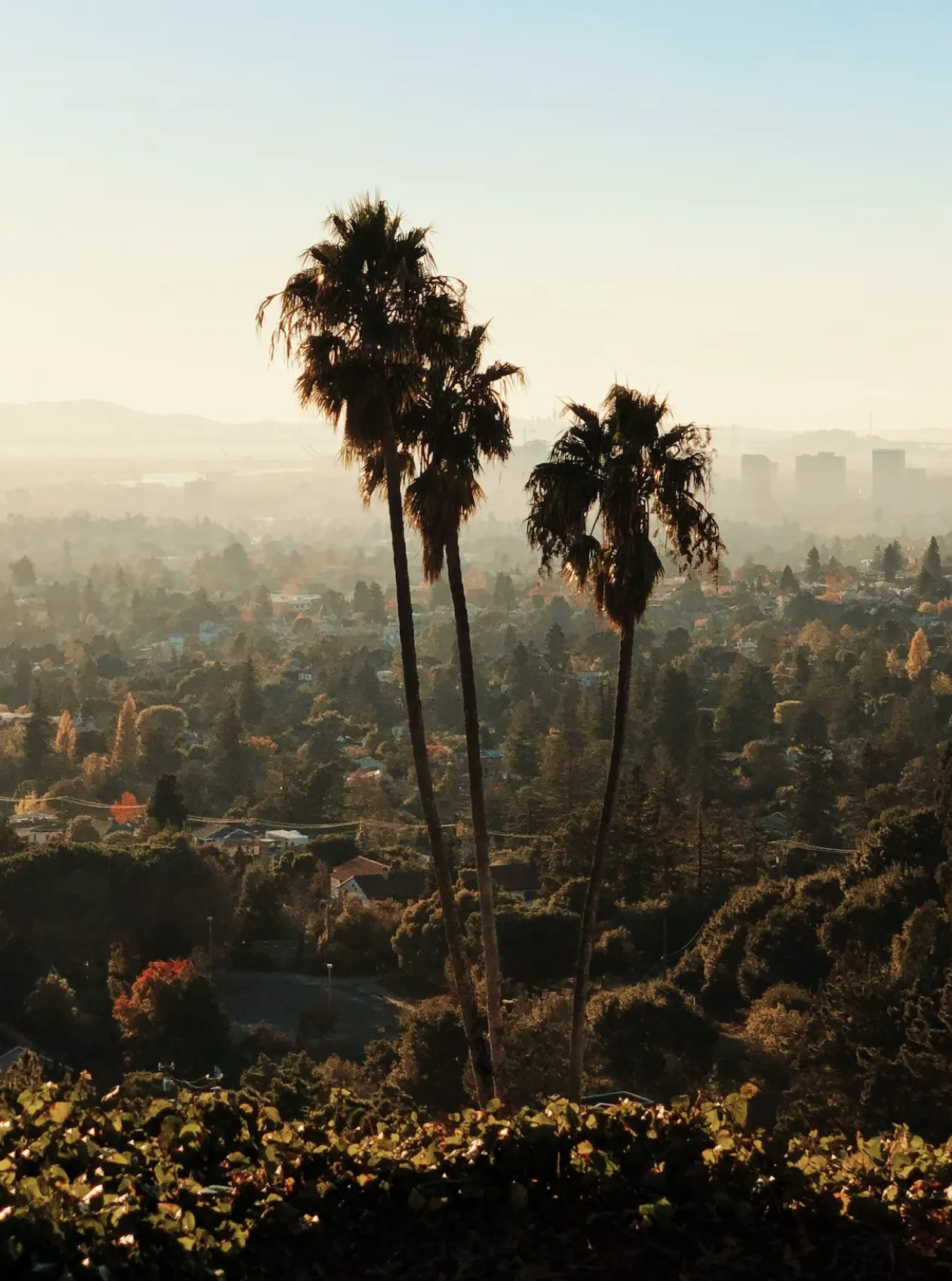 oakland-startup-aims-to-help-utility-customers-save-power