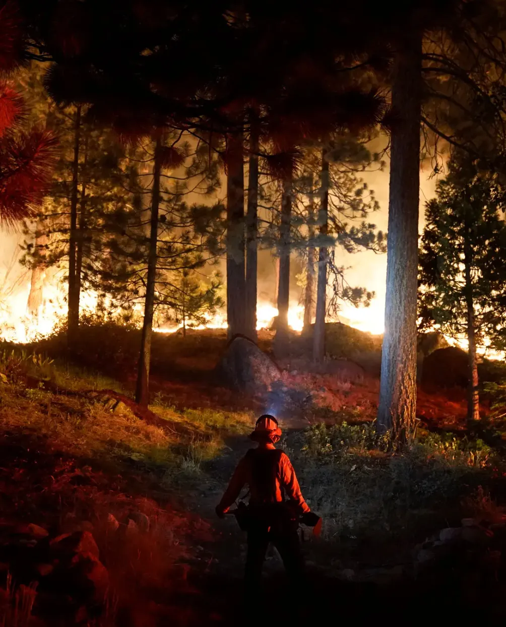 let-your-fridge-go-off-for-an-hour-to-save-our-power-grids