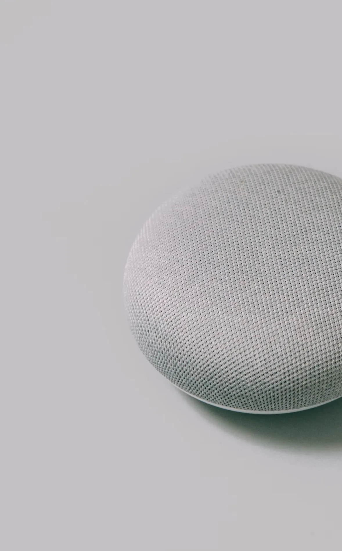 easy-ways-to-be-more-sustainable-in-the-bay-area-in-2020