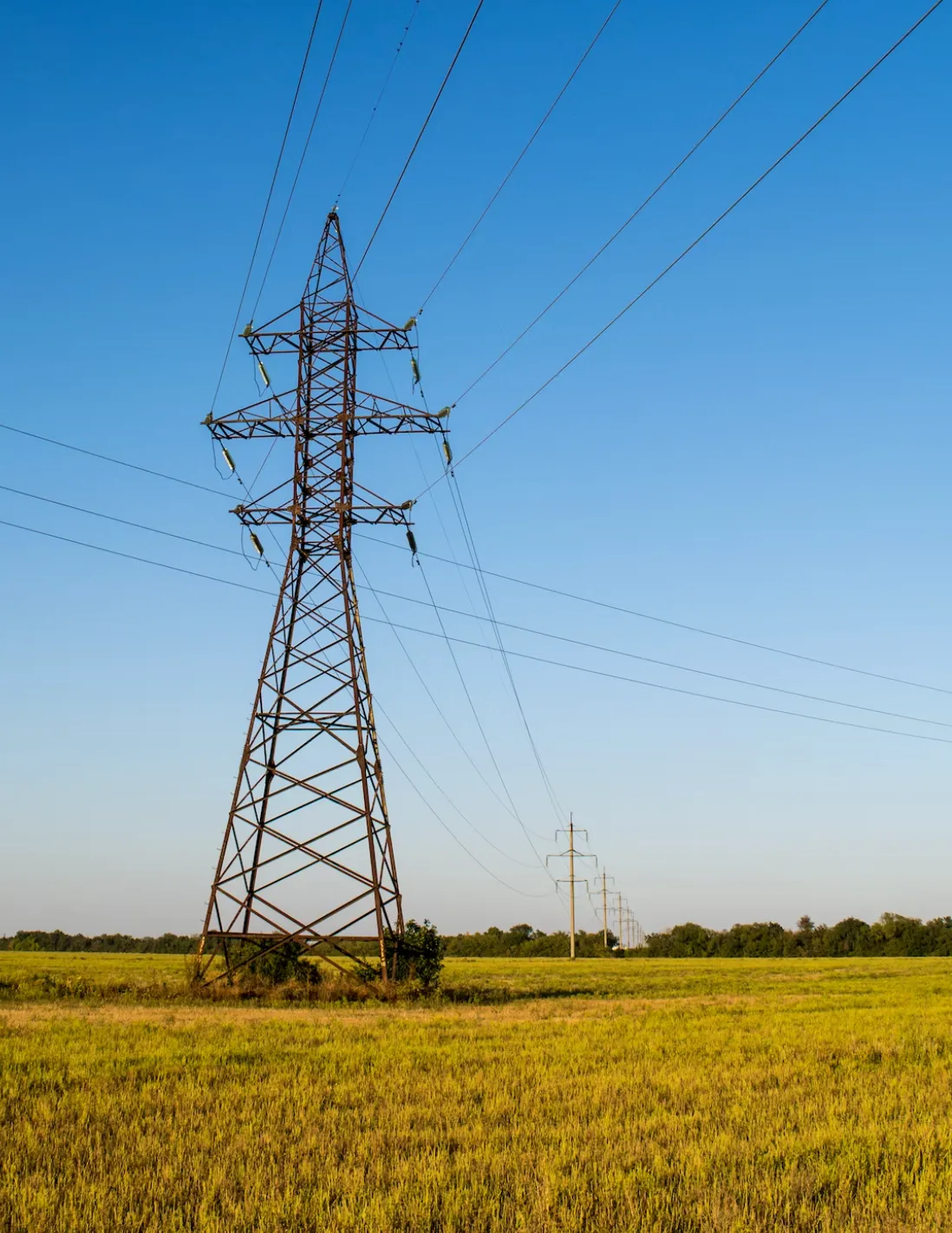 getting-paid-to-cut-your-energy-use