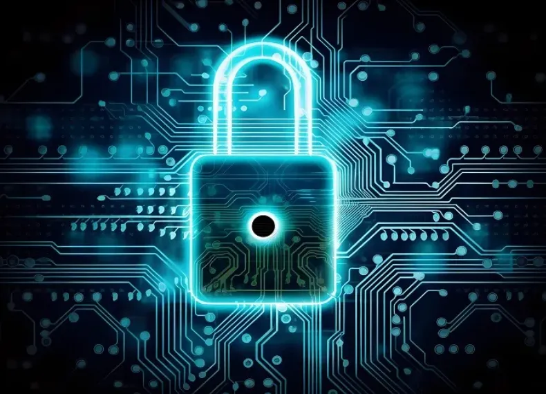 sec-ruling-is-a-win-for-citizens-digital-information